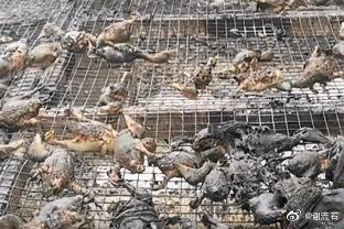 鴨主擔心養殖的鴨子們著涼,搬火爐給牠們取暖,未料引發大火燒死鴨子。(翻攝自微博)