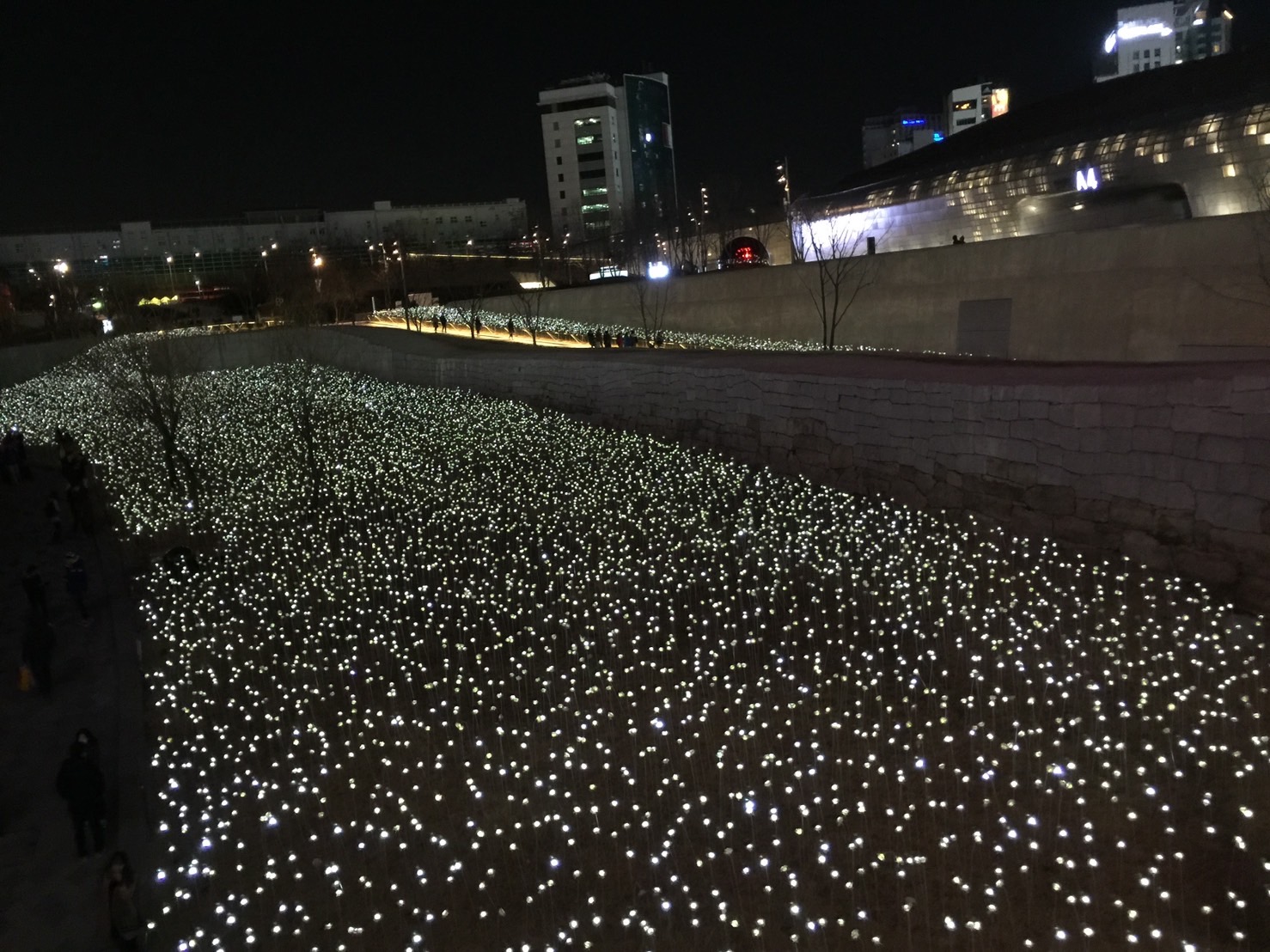 韓國東大門玫瑰燈海是一整片。（讀者提供）