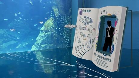 屏東海生館「極境漫遊66.5度」置身極地世界，虎鯨、藍鯨等生物於四周環繞悠游。（國立海洋生物博物館提供）