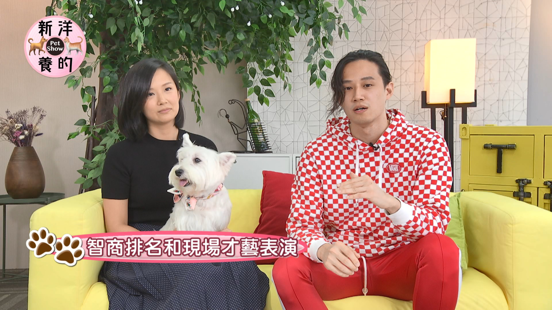 徐新洋開心自己升格當舅舅，PO出和妹妹上節目合照。（JET提供）