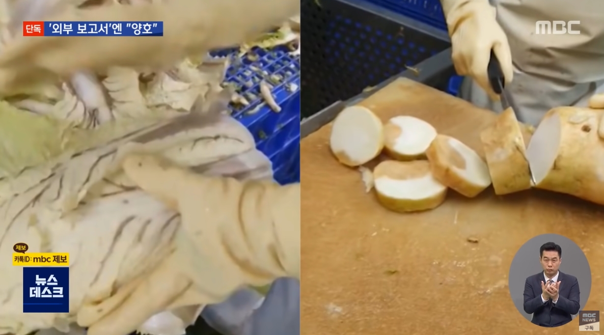 韓式泡菜公司被踢爆使用變質、腐敗的白菜和蘿蔔製作泡菜。（翻攝自MBC News YouTube）