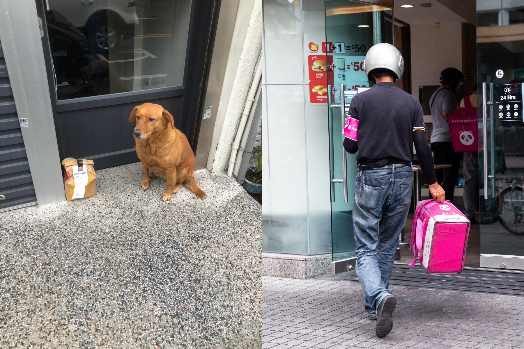 一名客人點外送要求「放在狗狗旁邊」，讓外送員被萌翻。（左圖翻攝自「外送員的奇聞怪事」臉書；右為示意圖，本刊資料照）