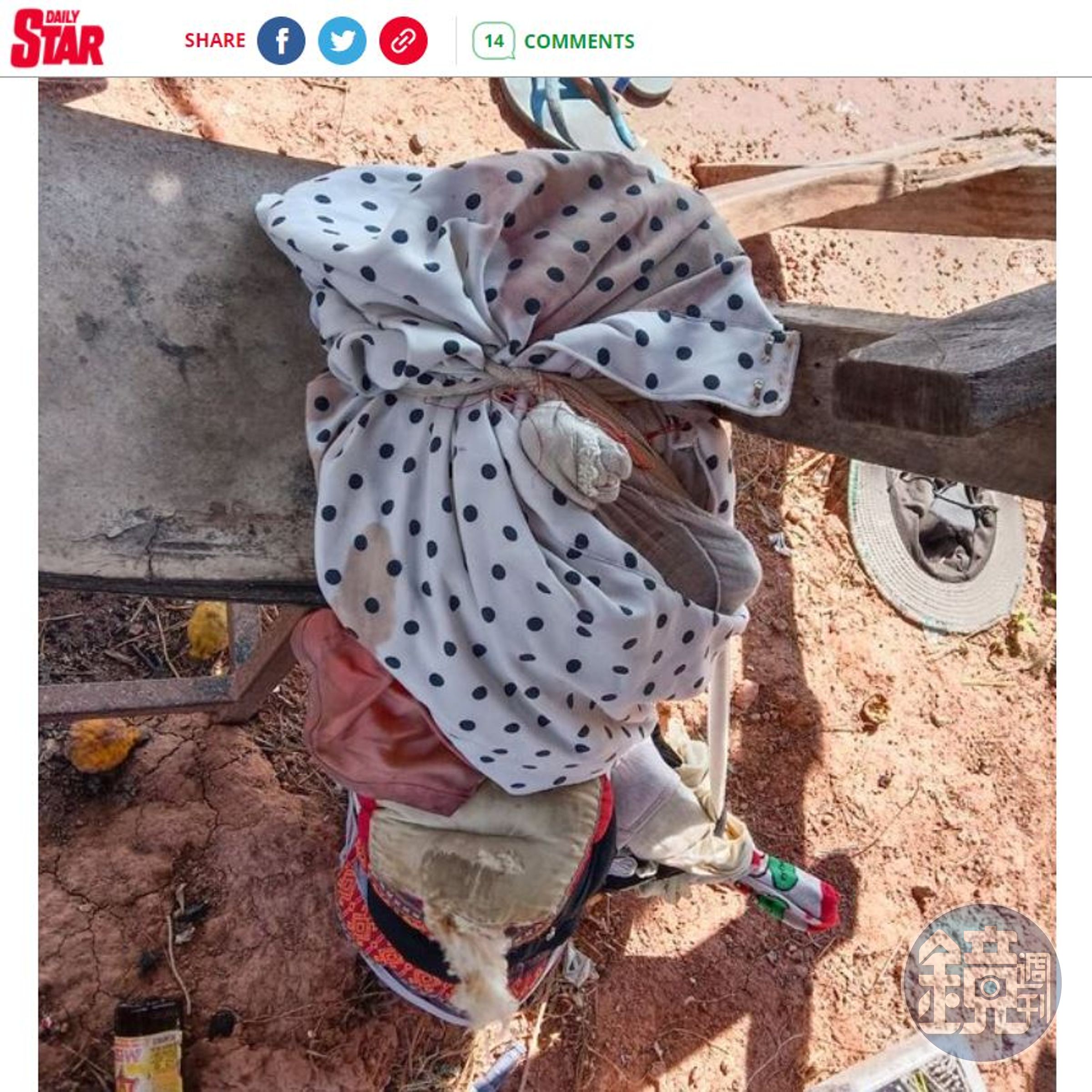 寵物狗哈尼的遺體將移交寺廟火化處理。（翻攝《每日星報》）