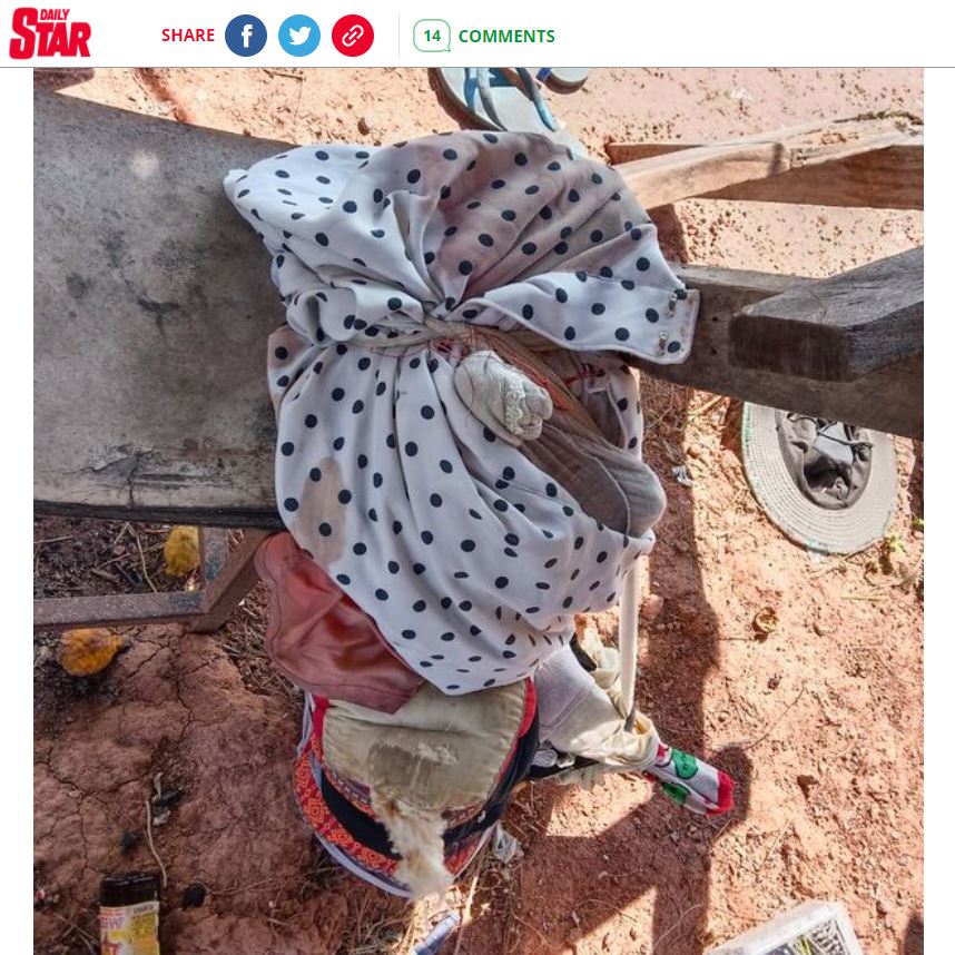 寵物狗哈尼的遺體將移交寺廟火化處理。（翻攝《每日星報》）