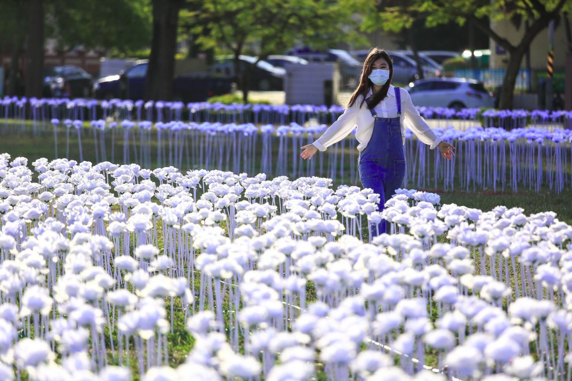228連假安排一趟台南賞花之旅。（台南市政府觀光旅遊局提供）