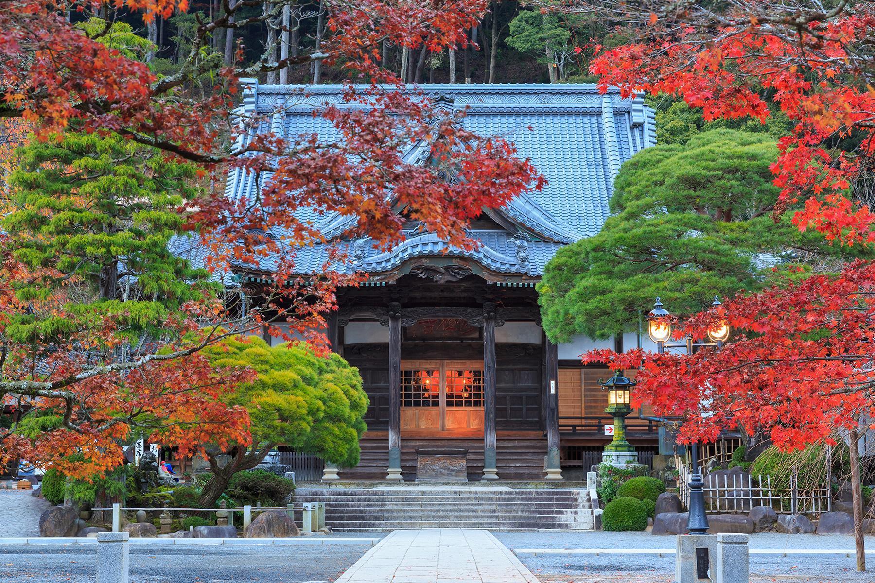 靜岡一年四季都有不同的美景，每年秋季「修善寺」的楓葉特別迷人，吸引許多觀光客專程造訪。（shutterstock提供）