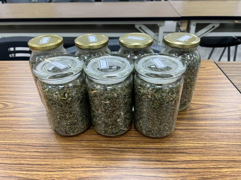 2嫌出產的第一批大麻花、大麻成品就要出貨,卻被警方全抄了,血本無歸。(警方提供)