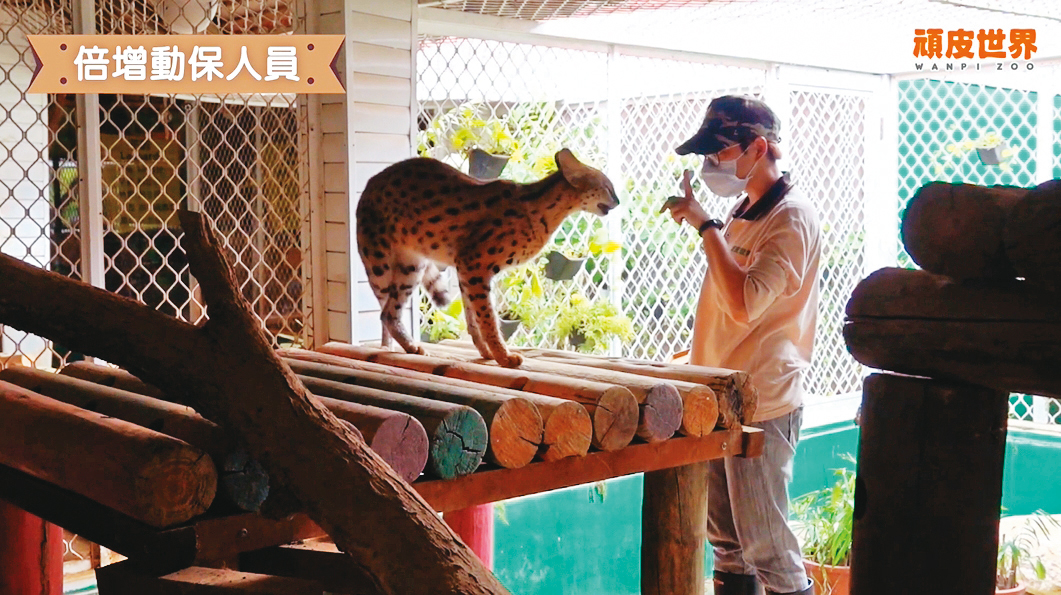 頑皮世界是南台灣最大私人動物園,已對李天怡等人提告詐欺等罪,並終止長頸鹿復育基地計畫。(翻攝YouTube頑皮世界動物園)
