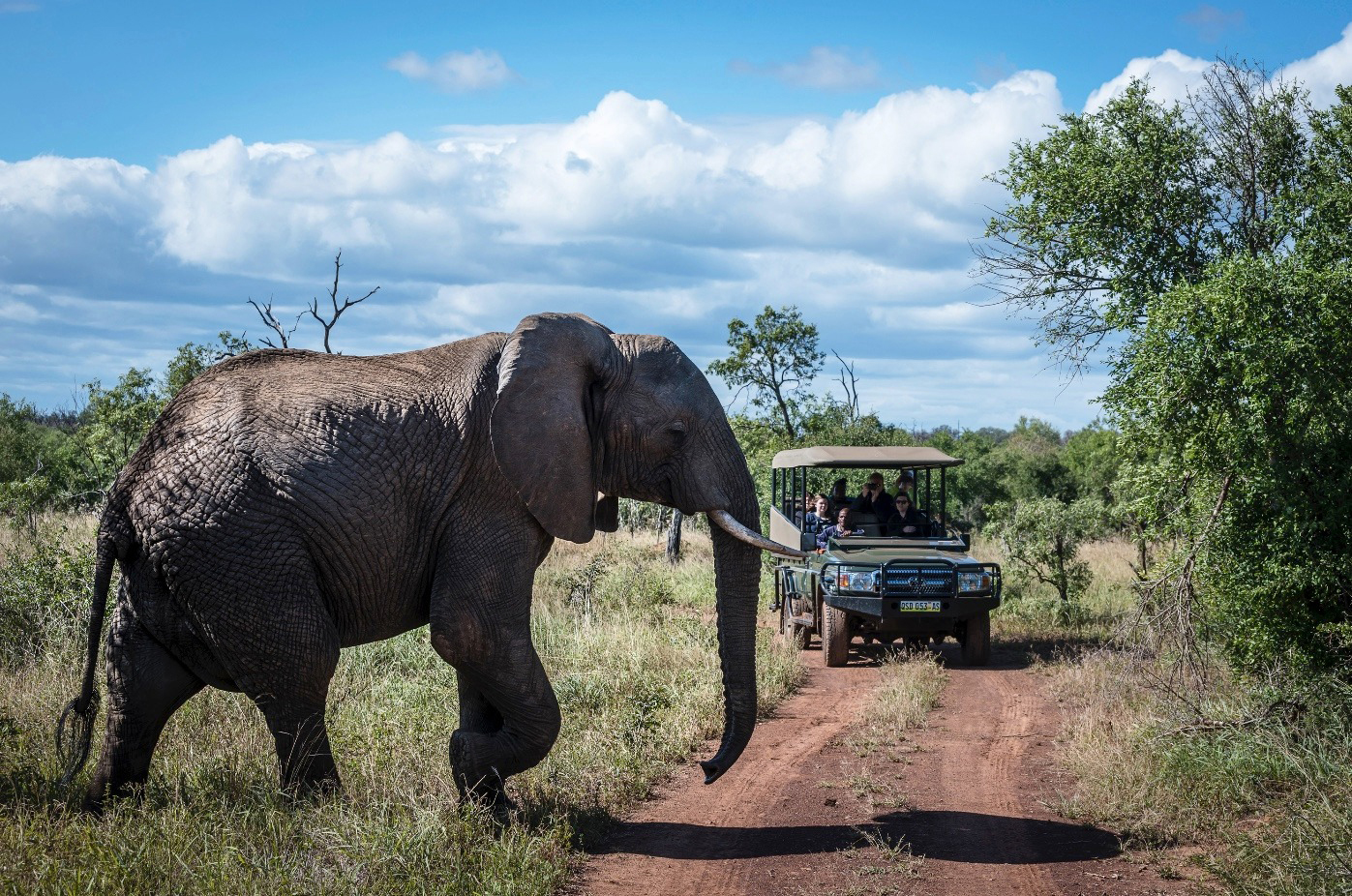史瓦帝尼境內有不少野生動物園，張榮華曾暗中派員前往查看欲引進的動物，進而發現李天怡等人陷下的騙局。（翻攝史瓦帝尼觀光局臉書）