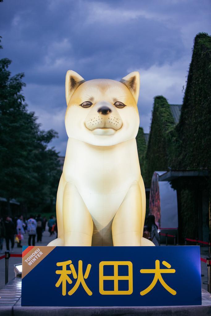 全世界最高的巨型秋田犬這次也將重回台灣。（日本東北遊樂日提供）