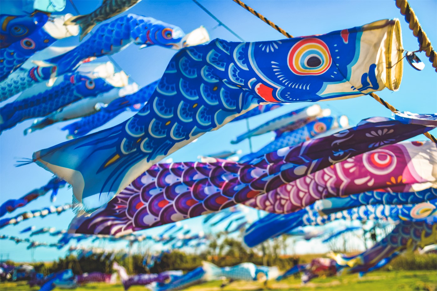 在現場寫下藍色鯉魚旗的祝福，活動結束後將送回日本東北，在空中飛揚，傳遞祝福。（日本東北遊樂日提供）