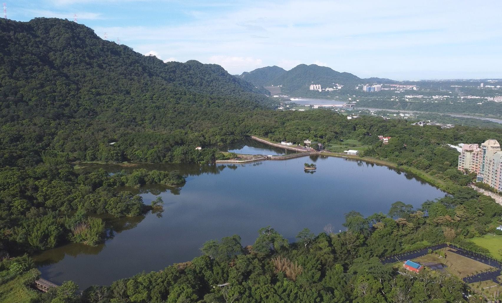 俯瞰大溪新福圳1號池,靜謐卻蘊含豐富生命力。(黃建義提供)