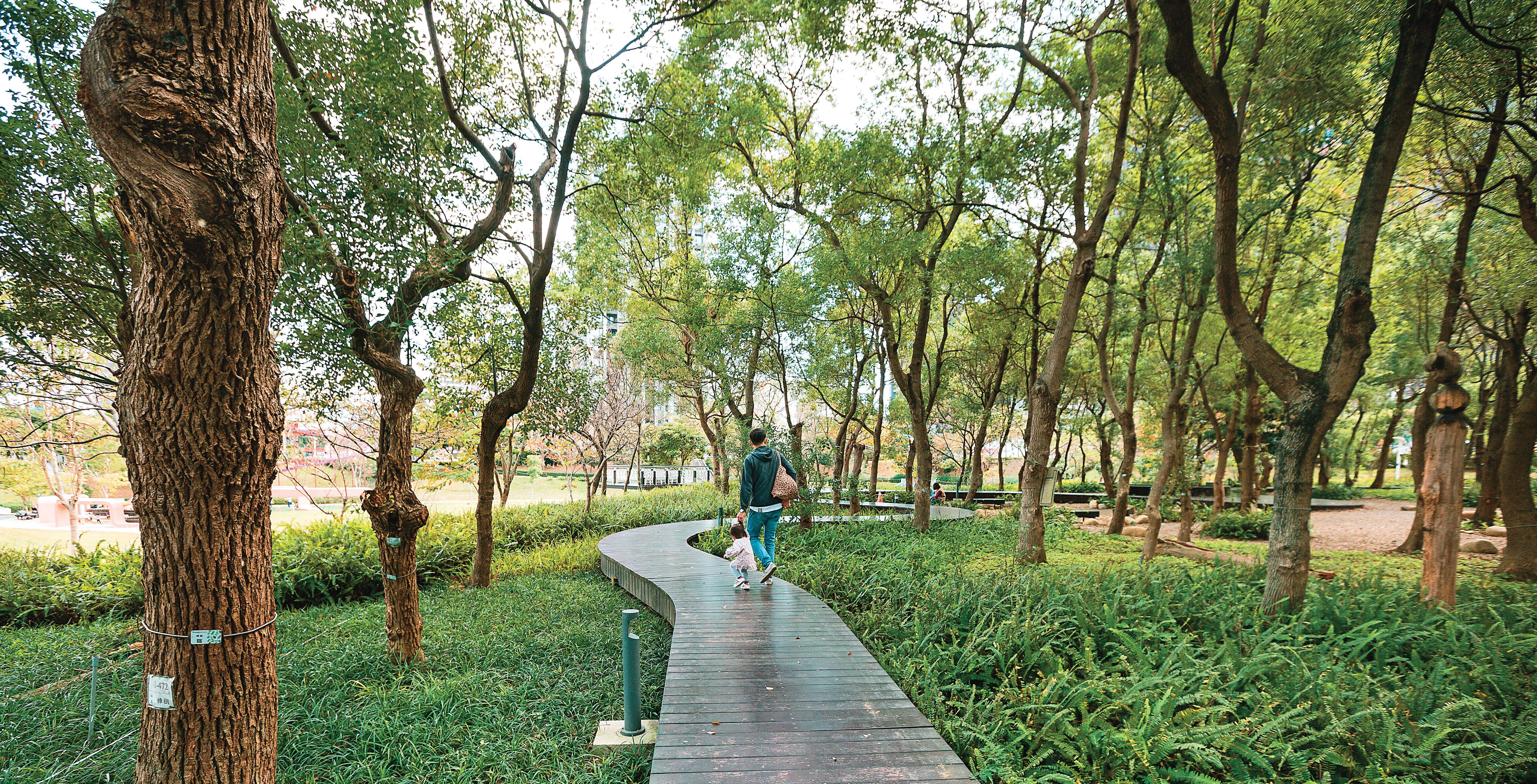 桃園推動城市造林，讓都市生活充滿綠意。