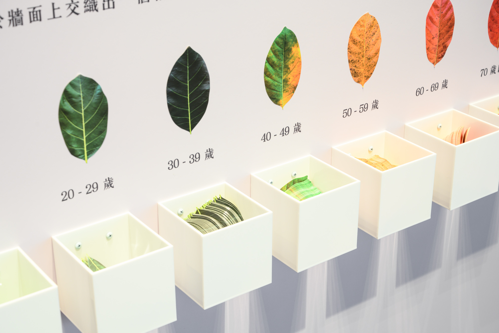 每個年齡都得面對不同的生命課題。(癌症希望基金會提供)