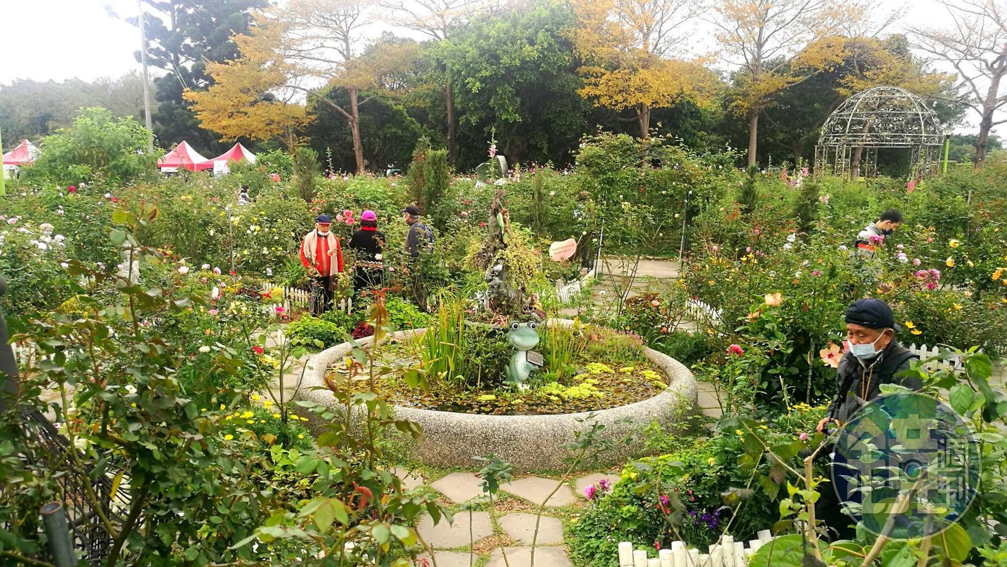 台北玫瑰園以各種玫瑰搭配季節花卉，在城市中營造自然悠閒花園。