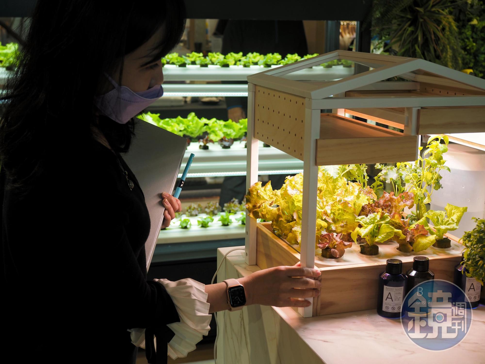 鍋具品牌「瑞康屋」攜手「佳能國際」推出居家型的「室內蔬菜製造機」,結合挪威水耕技術,讓植物殺手也能輕鬆實現種菜夢。
