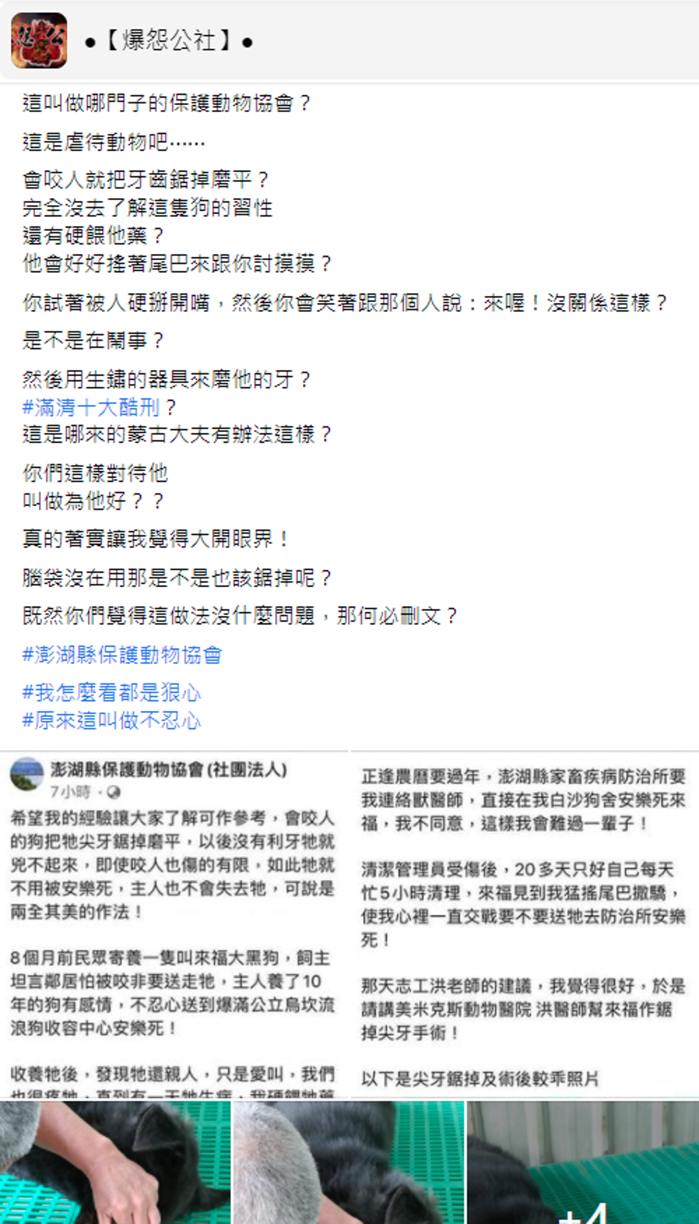 網友怒指澎湖保護動物協會的做法根本是虐待動物。（翻攝自爆怨公社臉書）