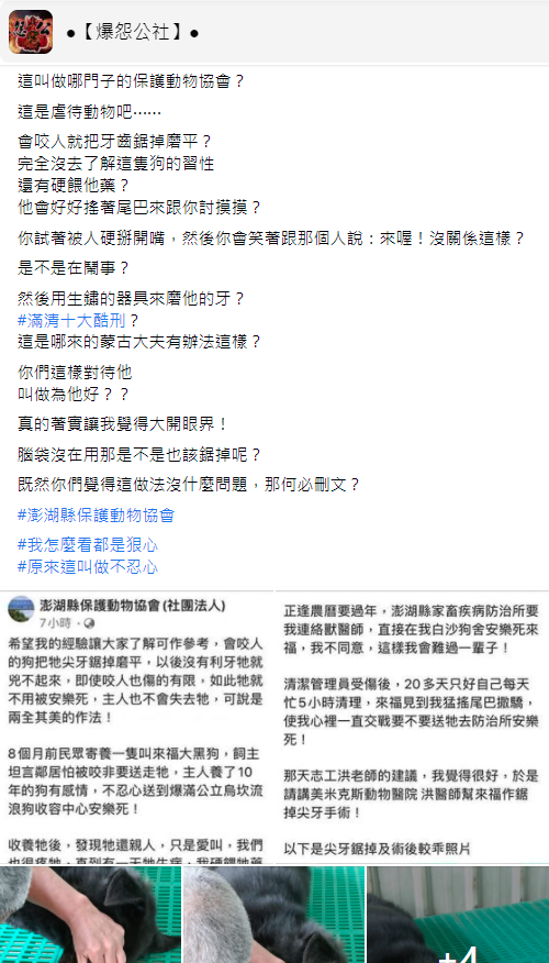 網友怒指澎湖保護動物協會的做法根本是虐待動物。（翻攝自爆怨公社臉書）