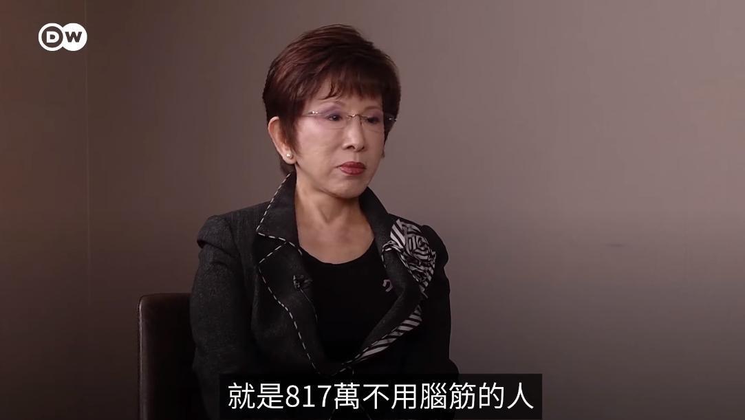 洪秀柱接受專訪，直言投給蔡英文的817萬票，都是不用腦筋的人。（翻攝自德國之聲臉書）