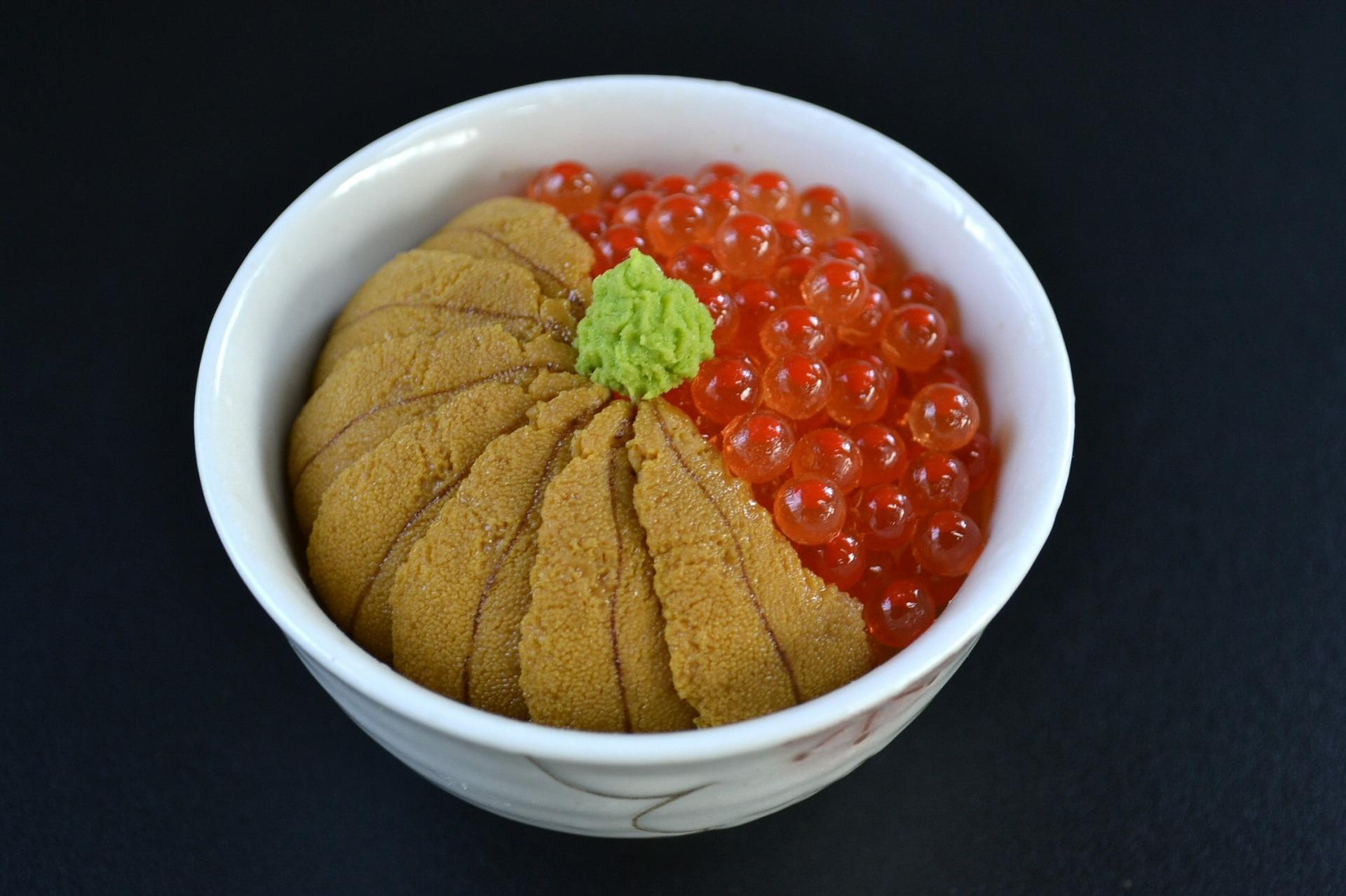 蔡阿嘎分享美食冷知識,直指我們愛吃的海膽其實是精巢或卵巢,蟹黃則是螃蟹的生殖器官;海膽示意圖。(pixabay/攝影師:PublicDomainPictures)