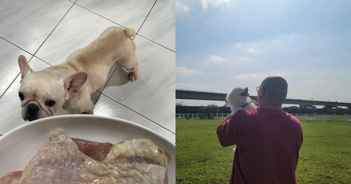 曾是接體員的網紅大師兄近日協助狗狗中途,卻被網友指「不要帶動這股歪風」。(翻攝自BigBrother大師兄臉書)