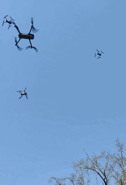 更有粉絲出動空拍機。（翻攝自網易新聞）