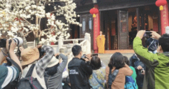 南京市的靈谷寺的「持善法師」顏值超高,吸引大票粉絲前往拍攝。(翻攝自網易新聞)