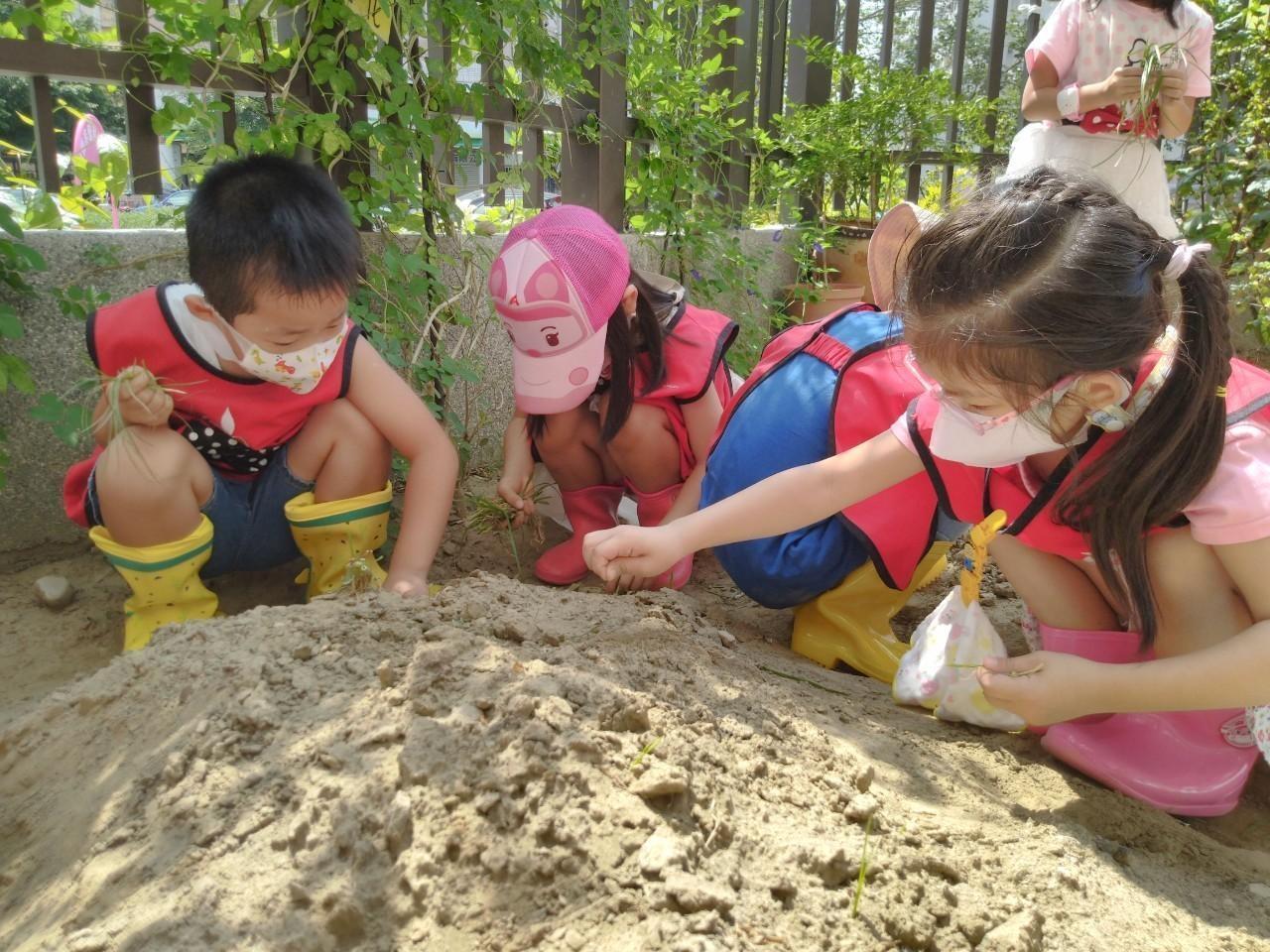 臺中新設四所非營利幼兒園8月開辦招生中,歡迎家長把握機會報名。