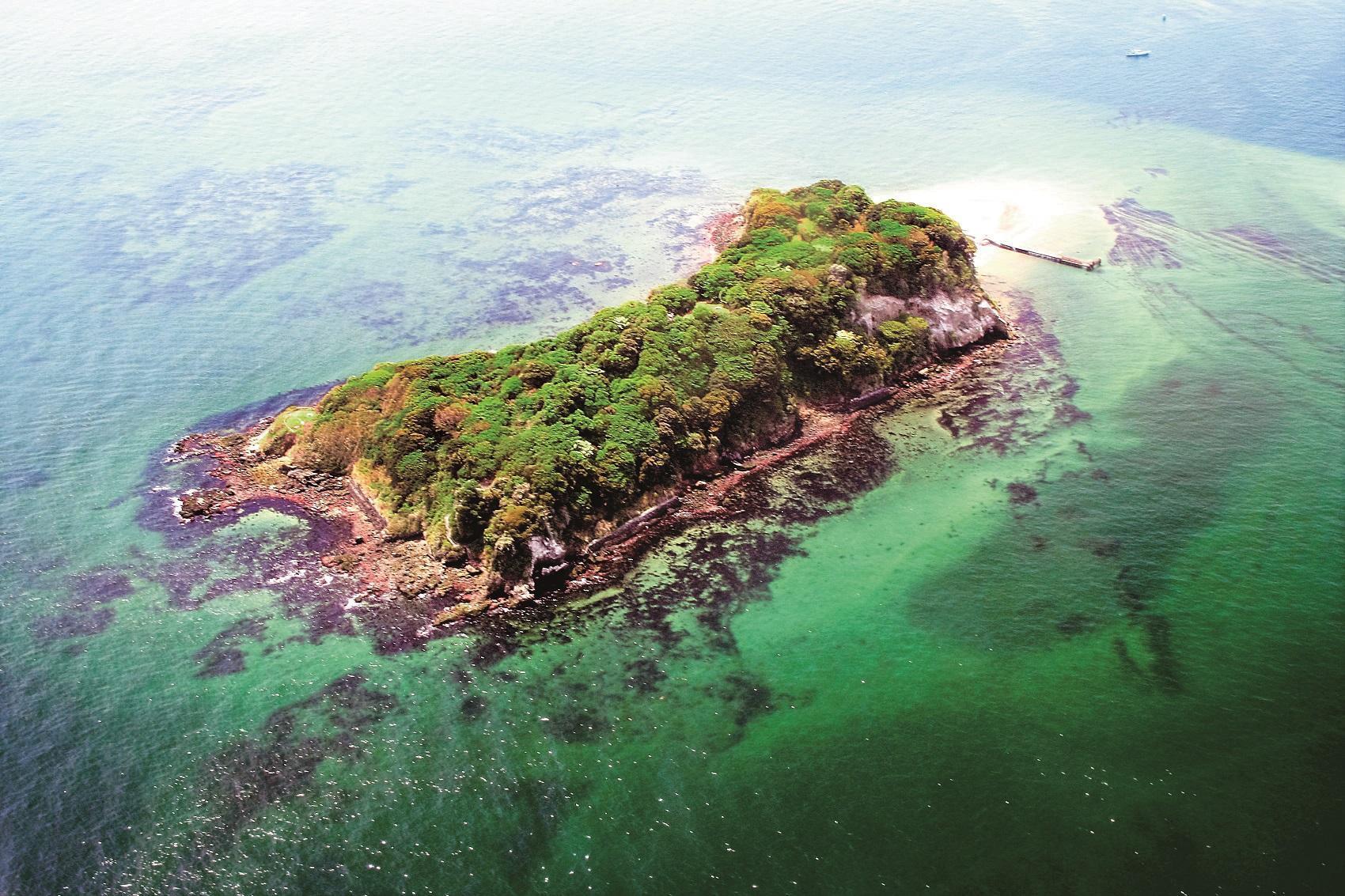 猿島的空拍照片，周圍的海水顏色很美。（神奈川縣提供）