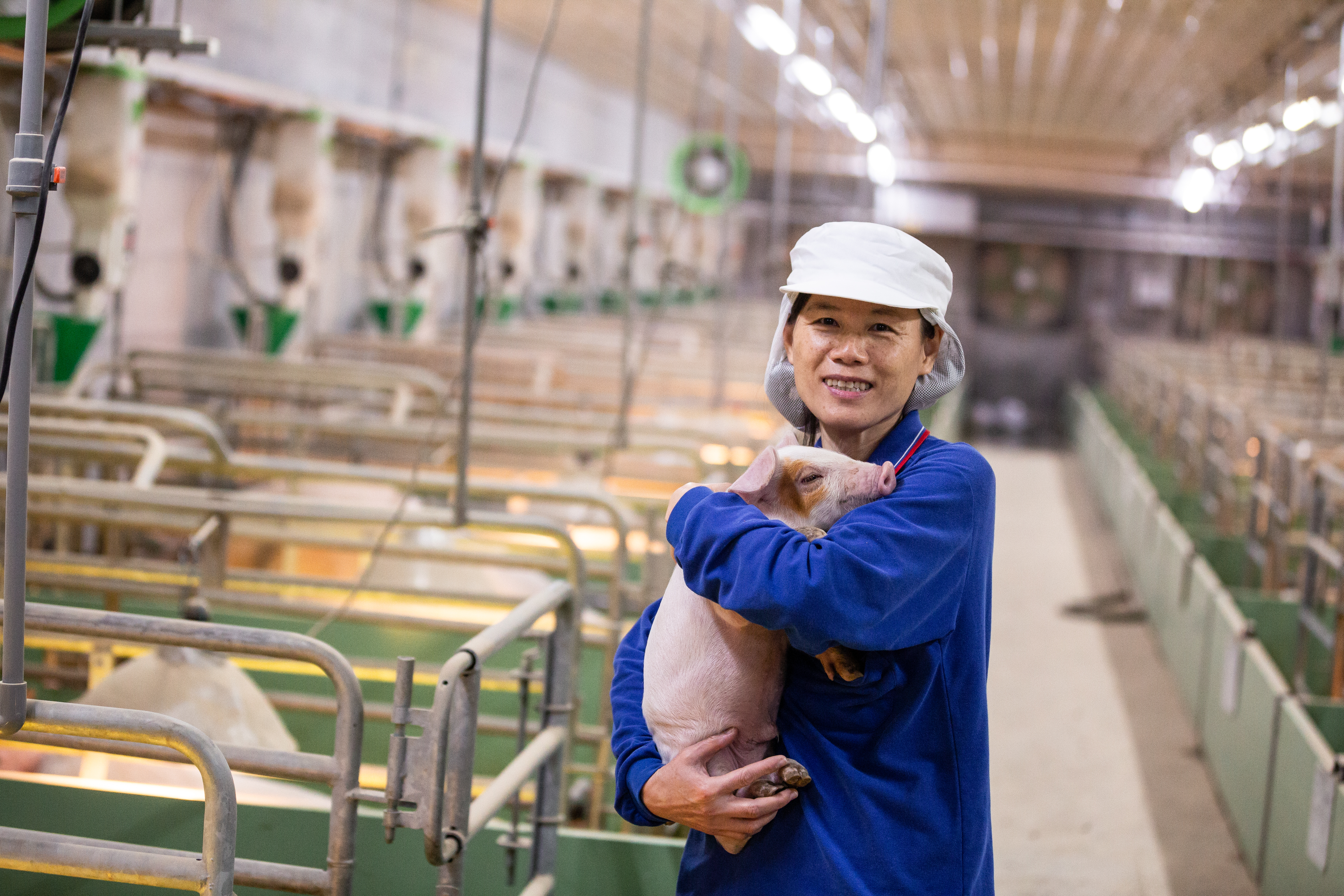 三久牧場改建畜舍,讓豬能離開不到1公尺寬的狹欄自在奔跑,陳玉敏開心地與豬互動。