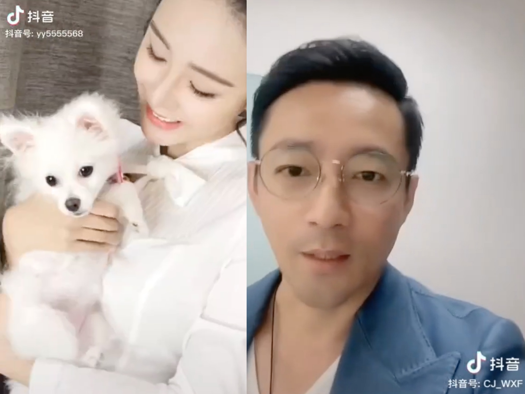 汪小菲自拍介紹公司，網友勉勵他專注工作就好，而緋聞女友張穎穎一張抱狗照又引起網友討論。（翻攝自汪小菲、張穎穎抖音）