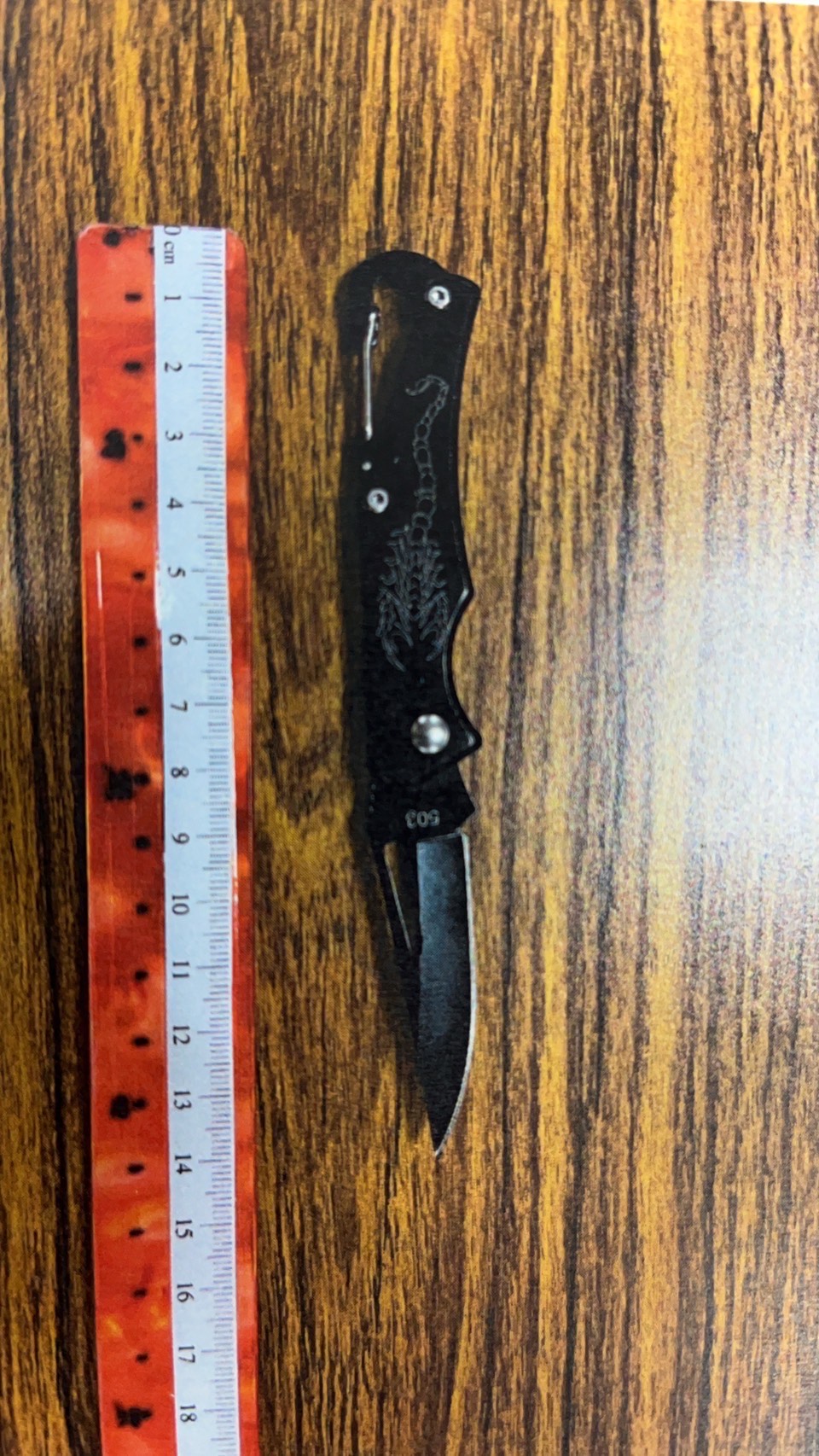 警方查扣犯案用兇刀。（翻攝畫面）