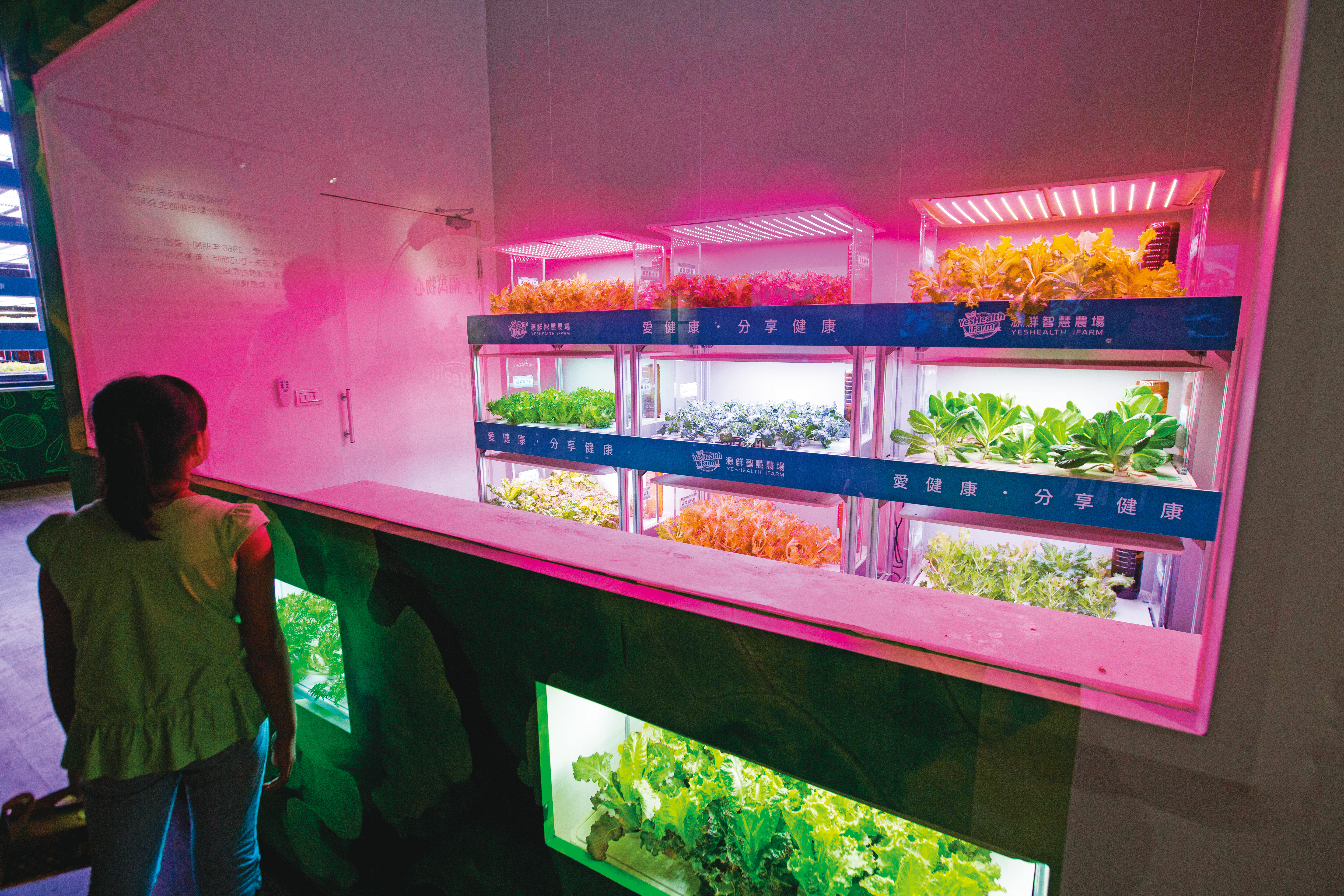 王文洋投資相當多元，也曾投資科技種菜公司並擔任董事，目前已退出。