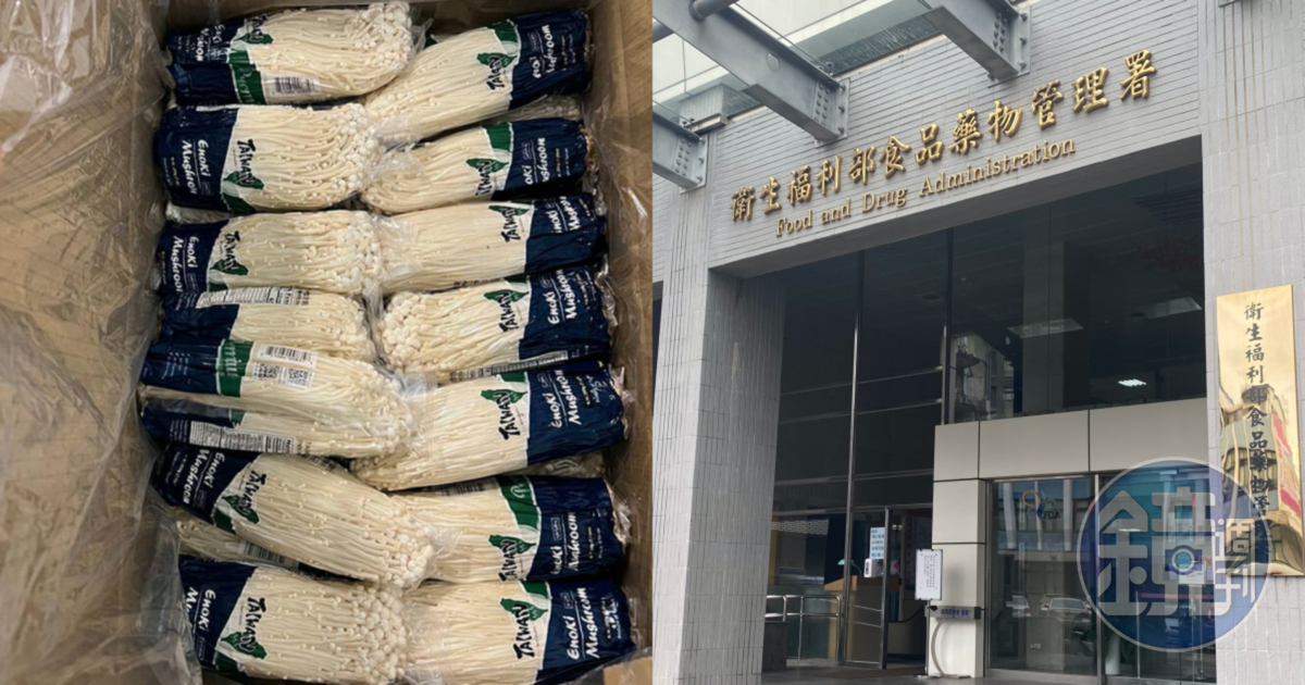 台灣外銷美國的金針菇驗出李斯特菌,食藥署對此做出回應。(翻攝自美國FDA官網、本刊資料照)