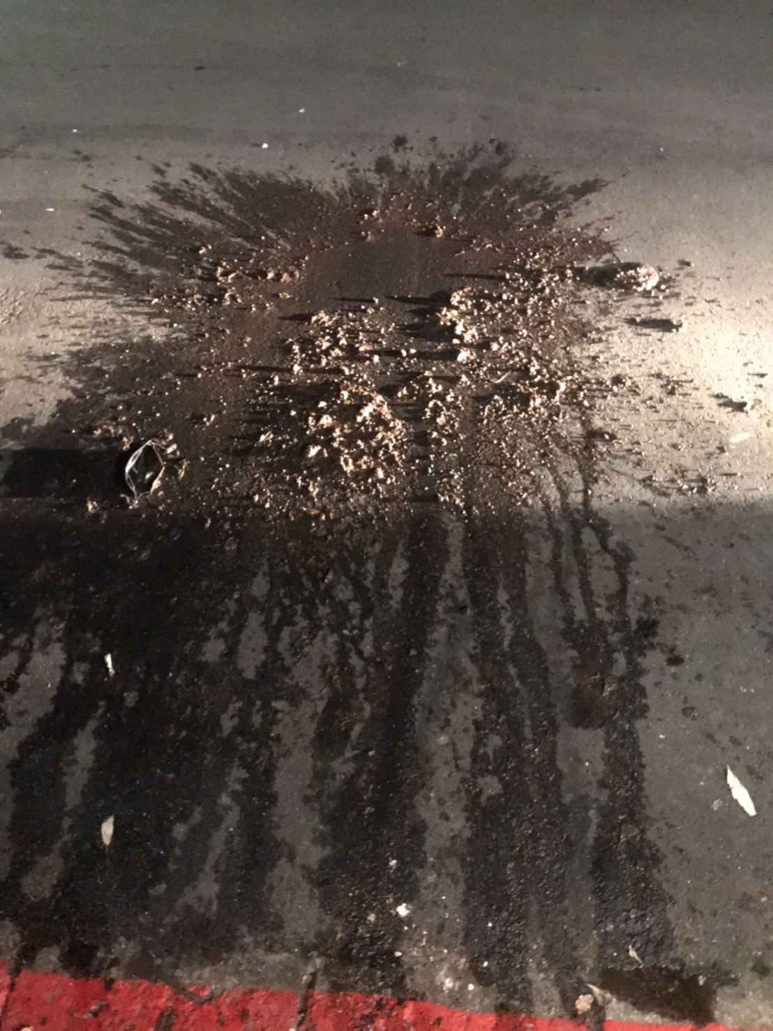 犯案現場遺留大量濕土。(翻攝畫面)