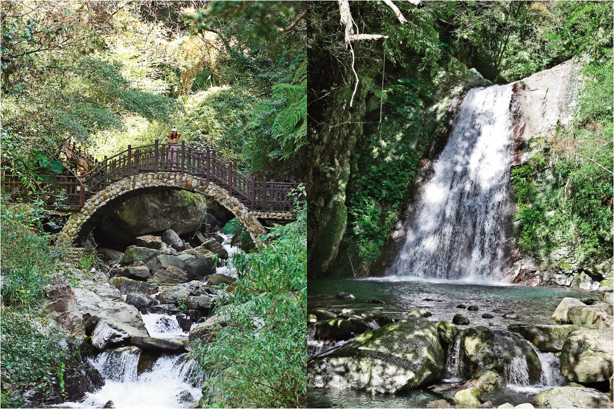 全長不到1公里的老鷹溪步道，平緩好走又涼爽。