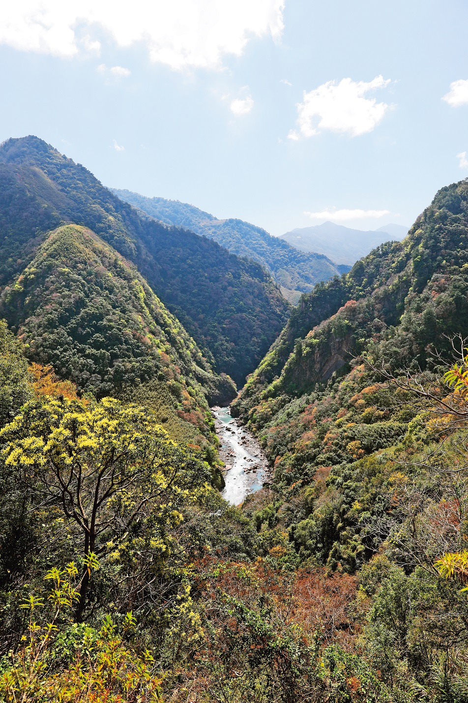 沿著縣道竹60-1而行,從高處眺望尖石後山的層層山巒與溪谷,景色壯闊迷人。