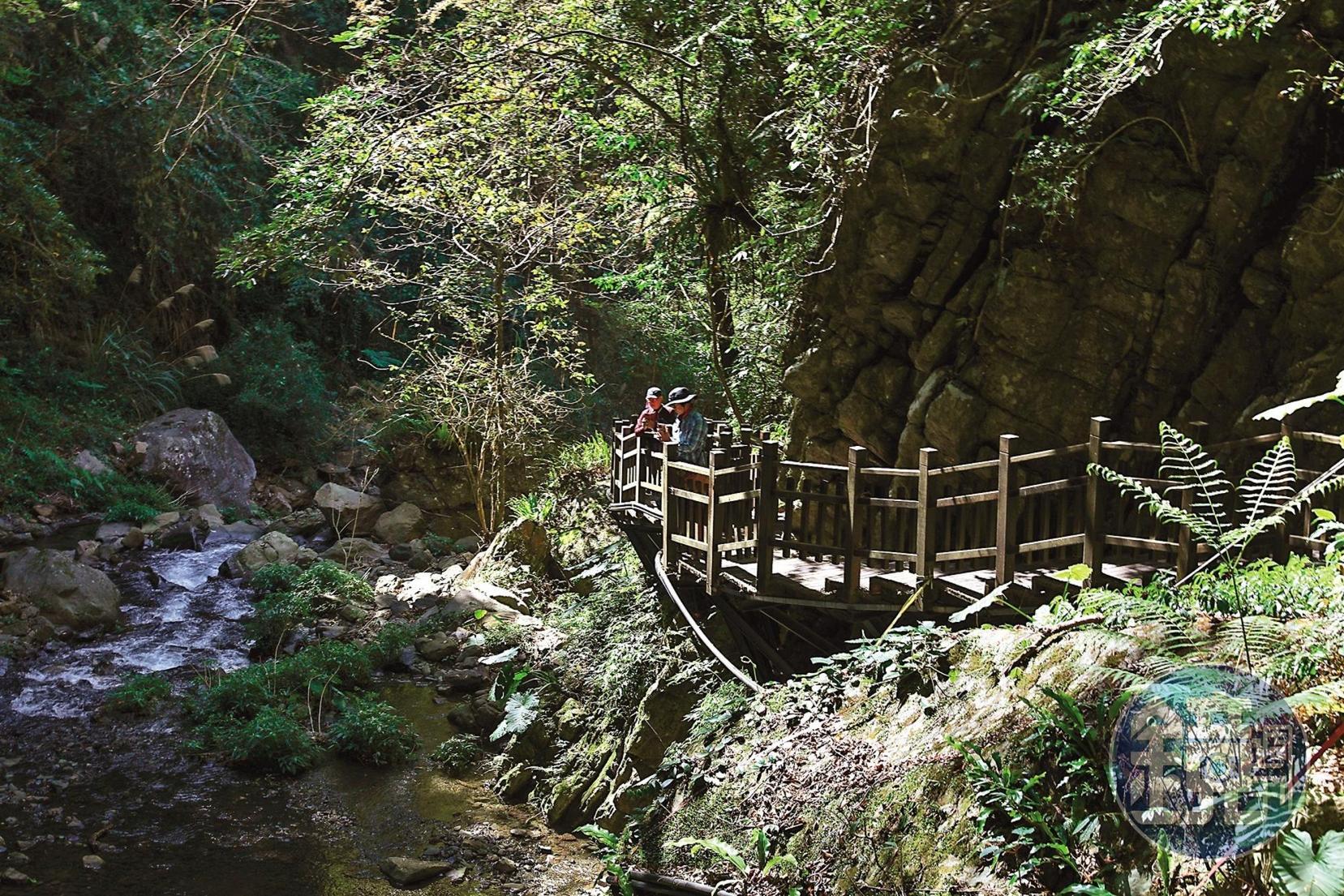 沿著溪水而建的老鷹溪步道,走起來格外清新涼爽。