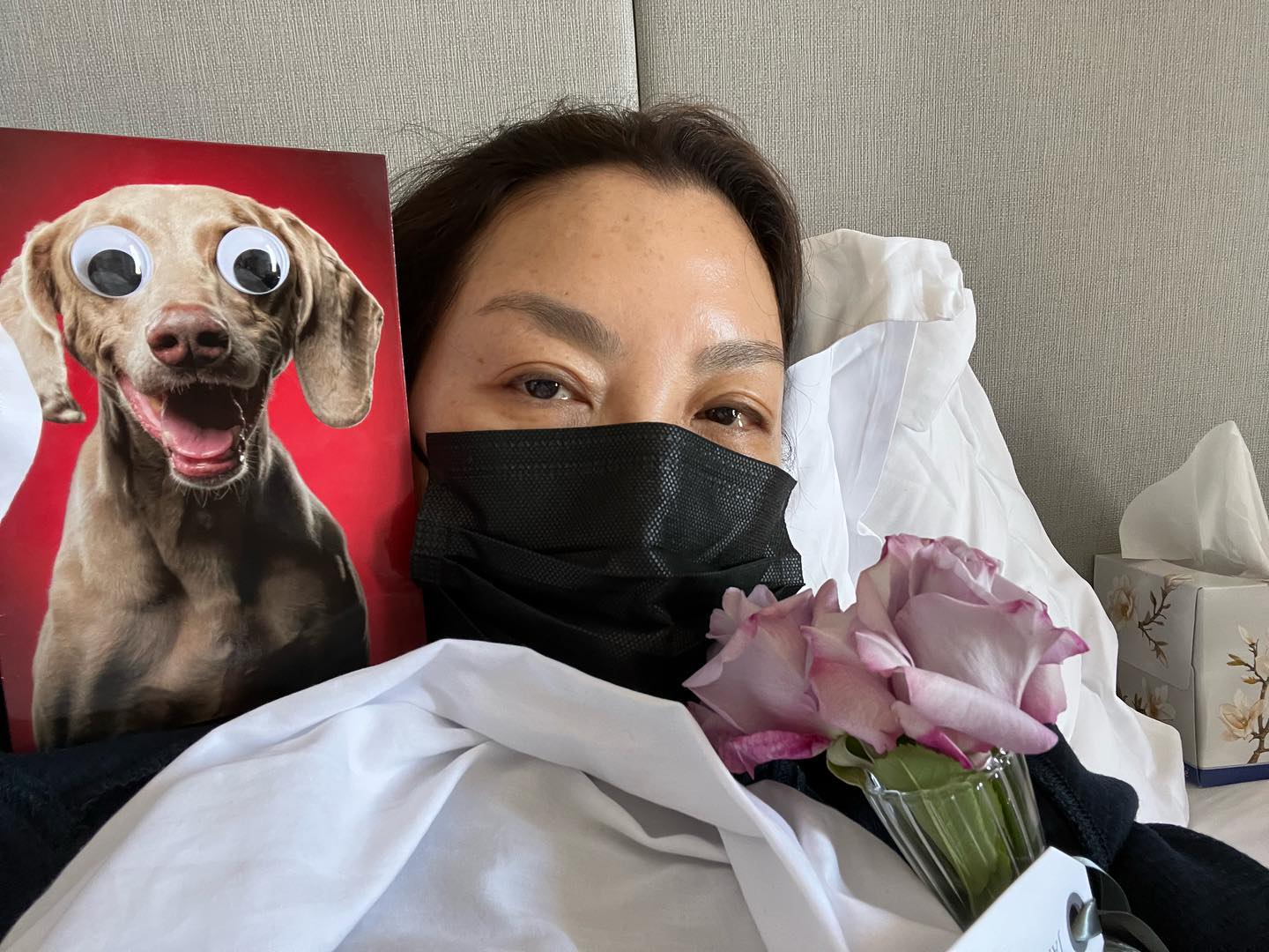 楊紫瓊透露自己確診新冠肺炎，無奈缺席新片首映會。（翻攝自楊紫瓊臉書）