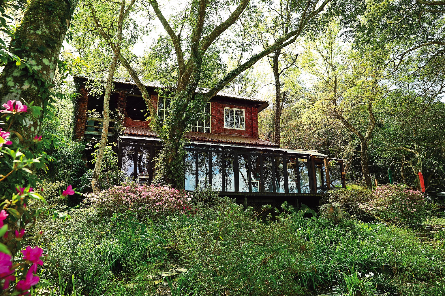 隱身於一片原始樹林間的「6號花園」，是許多遊客心中的祕密花園。