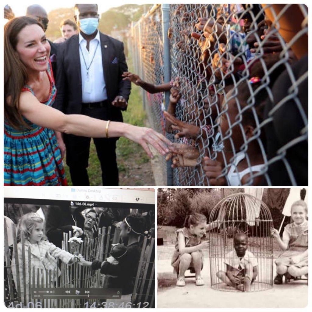 有網友聯想到1800～1960年代後期，黑人在放在動物園裡供人觀賞的樣子。（翻攝sussexsquadpod1推特）
