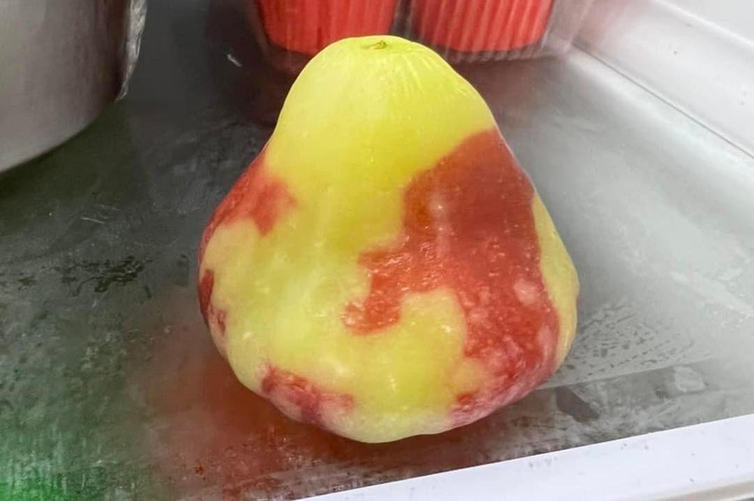 有網友發現放在冰箱幾天的蓮霧詭異褪色，嚇得詢問大家，「這能吃嗎！發生什麼事了」。（翻攝自爆廢公社）