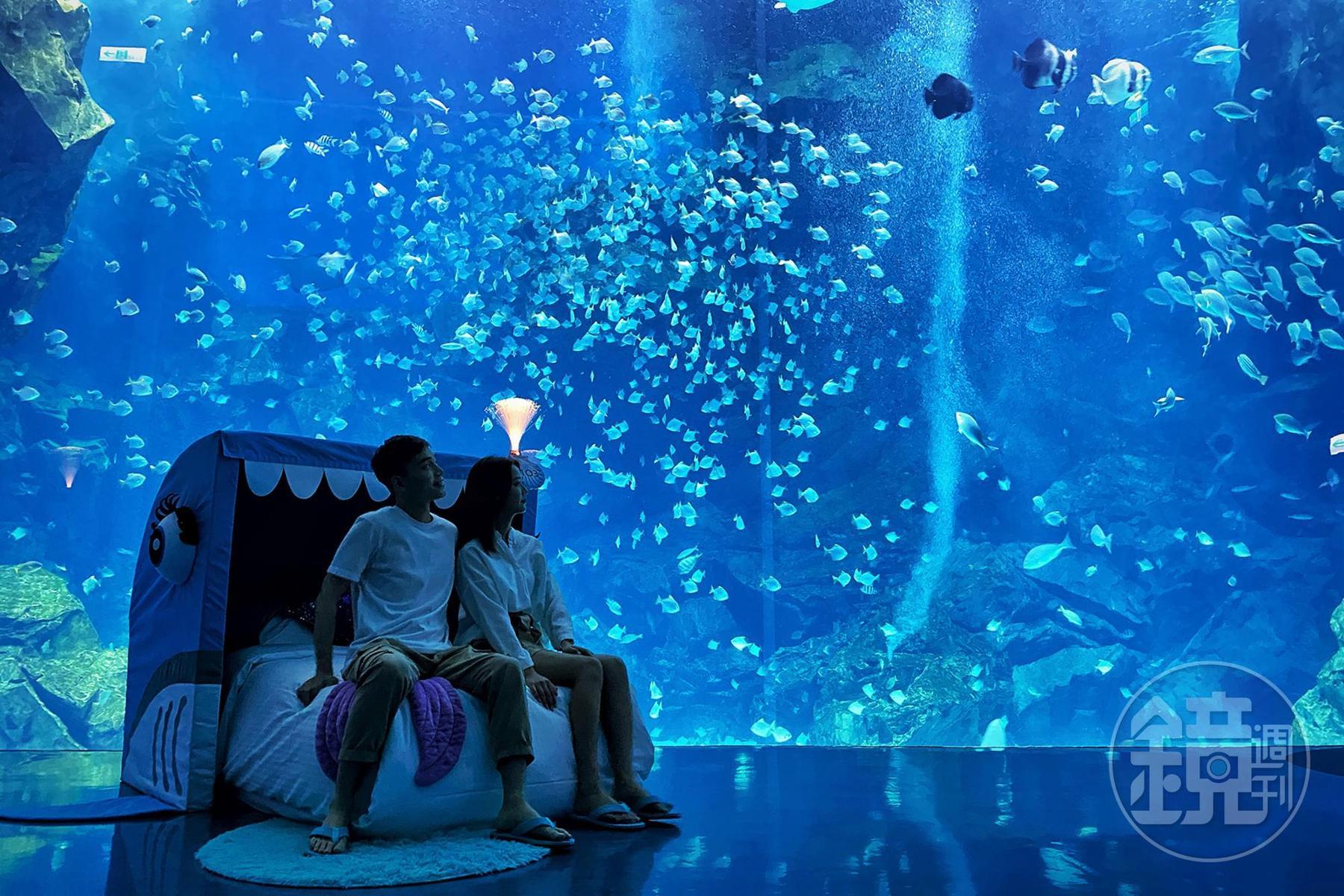 桃園和逸攜手Xpark推出頂級海洋夜宿體驗「宿海奇遇Blu Night」,已於3月24日試營運開放入住。