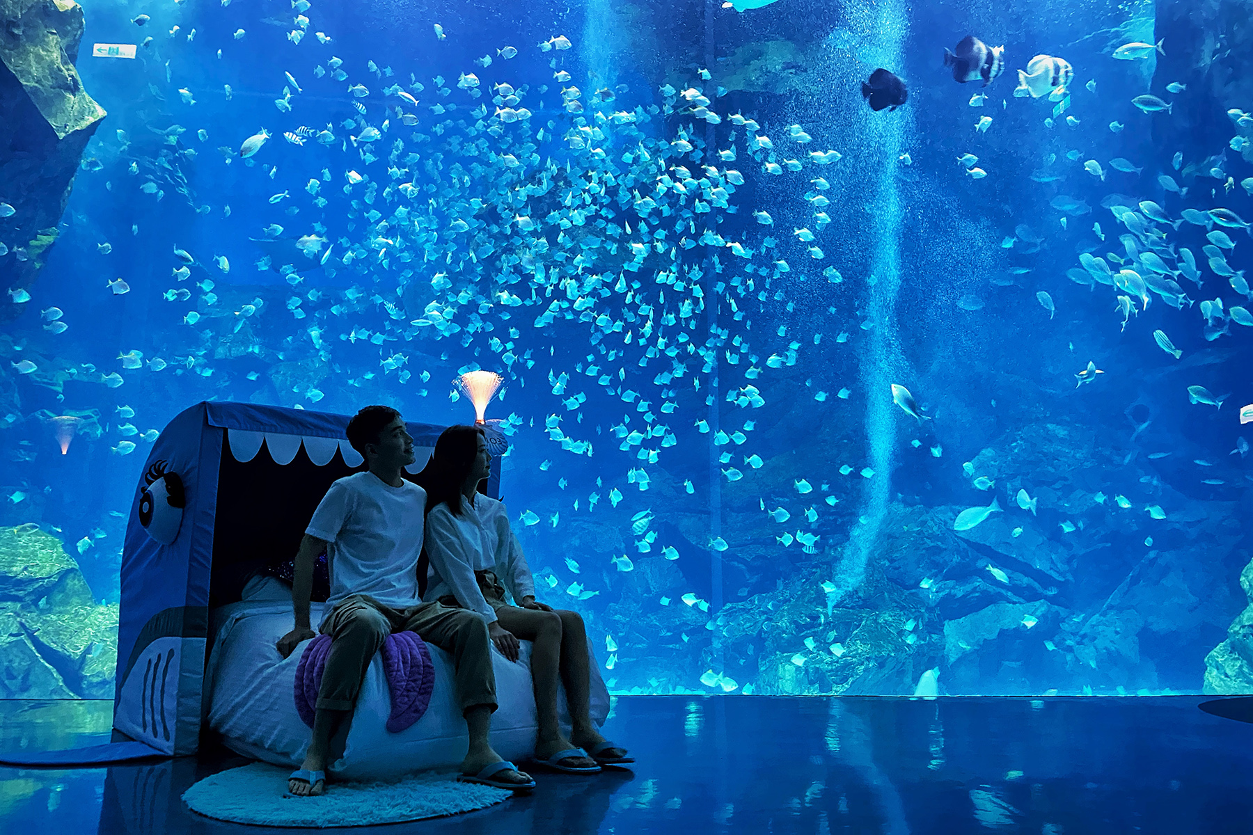 桃園和逸攜手Xpark推出頂級海洋夜宿體驗「宿海奇遇Blu Night」，已於3月24日試營運開放入住。