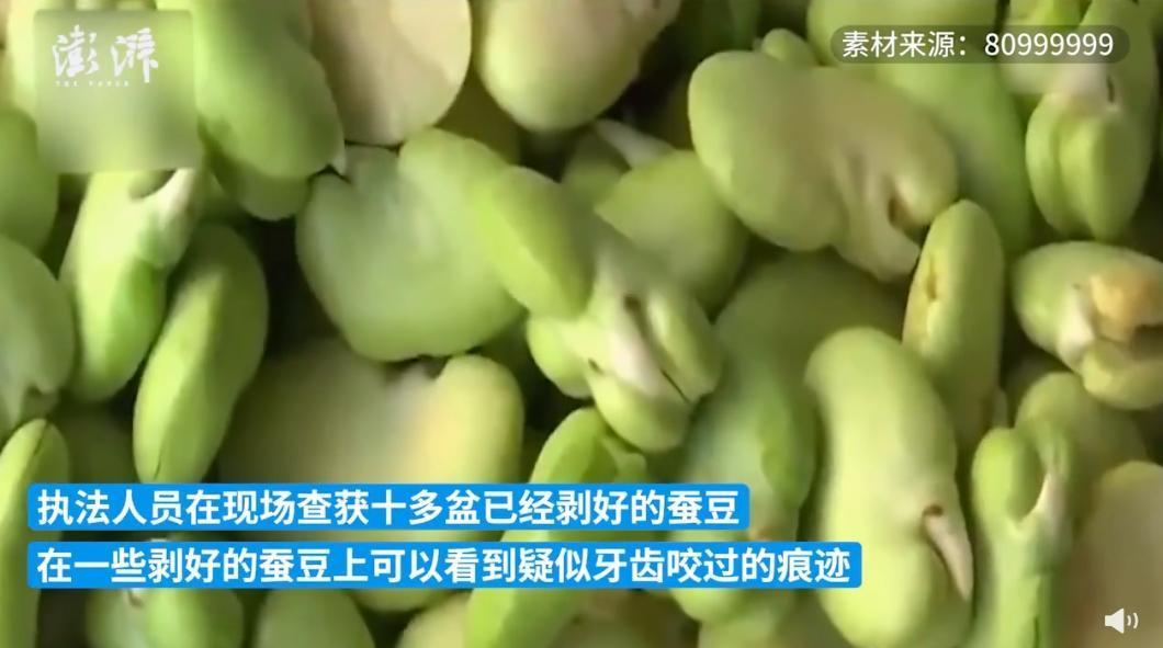 執法人員搜出的蠶豆上還看得到疑似牙齒咬過的痕跡。(翻攝自澎湃新聞微博)