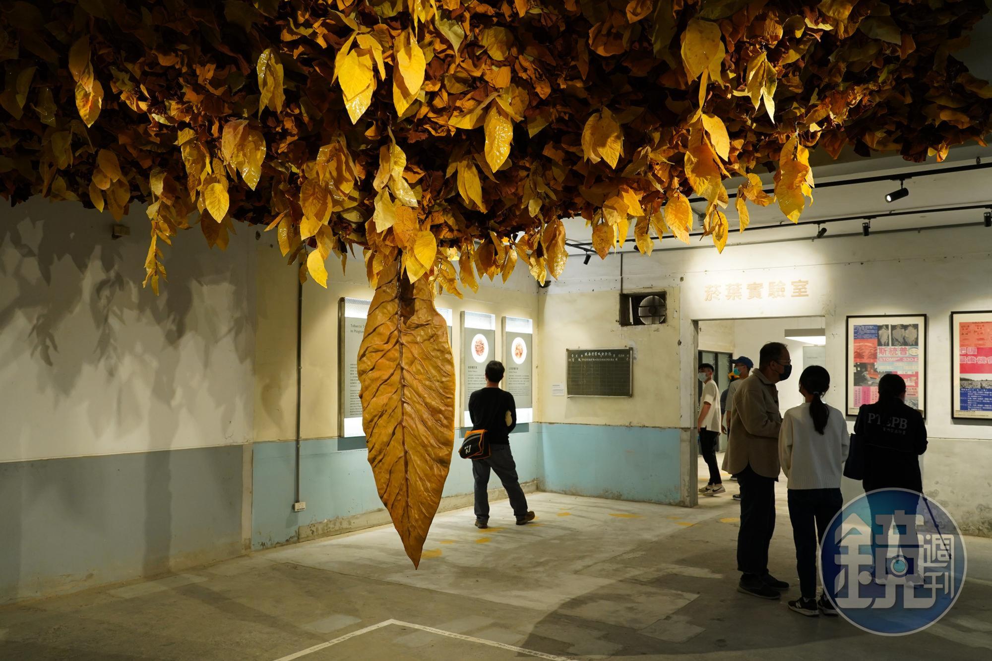 「菸葉實驗室」展區將枯燥的菸草歷史用新意包裝，巨大菸葉模型在入口處指引旅人。 