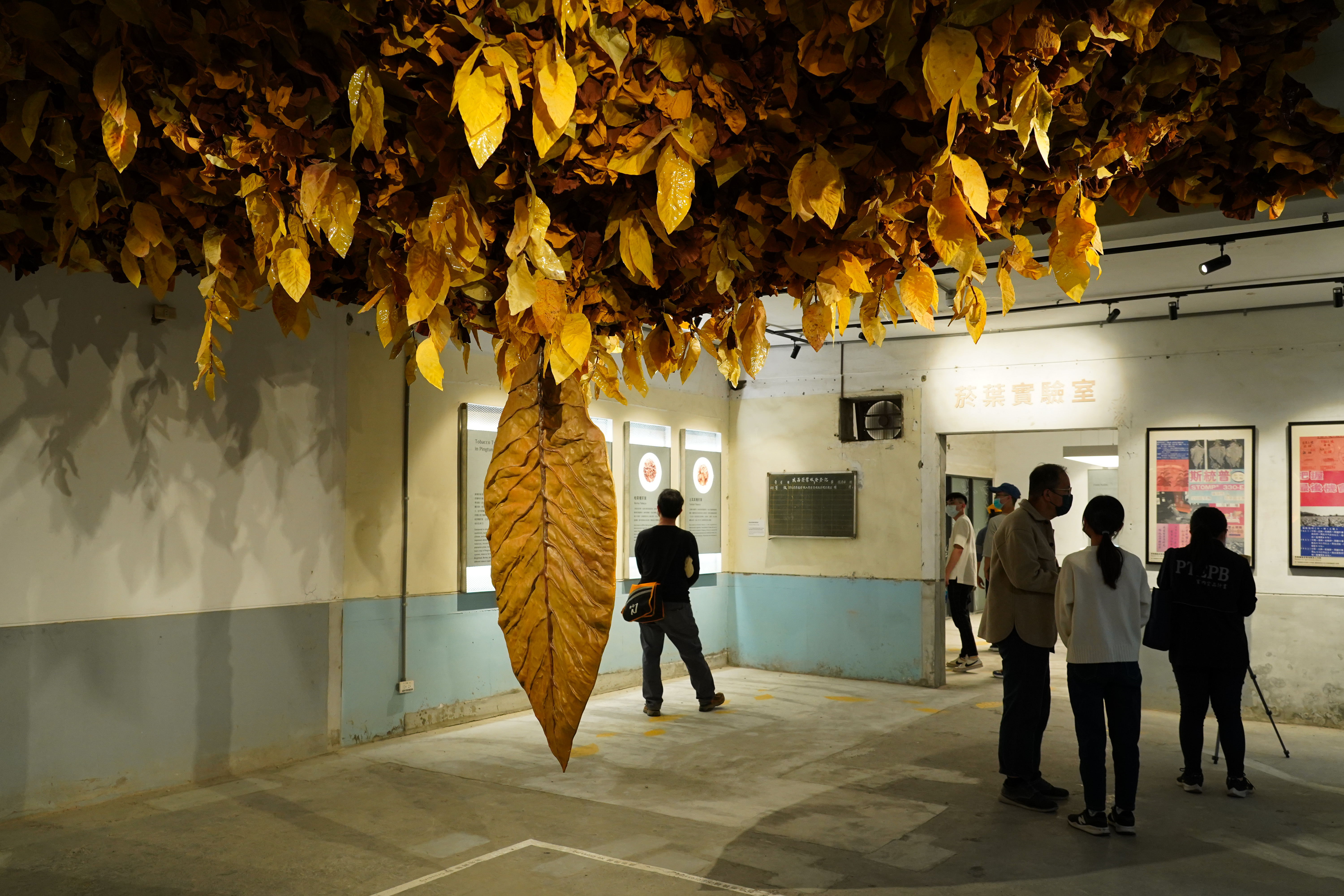 「菸葉實驗室」展區將枯燥的菸草歷史用新意包裝，巨大菸葉模型在入口處指引旅人。 