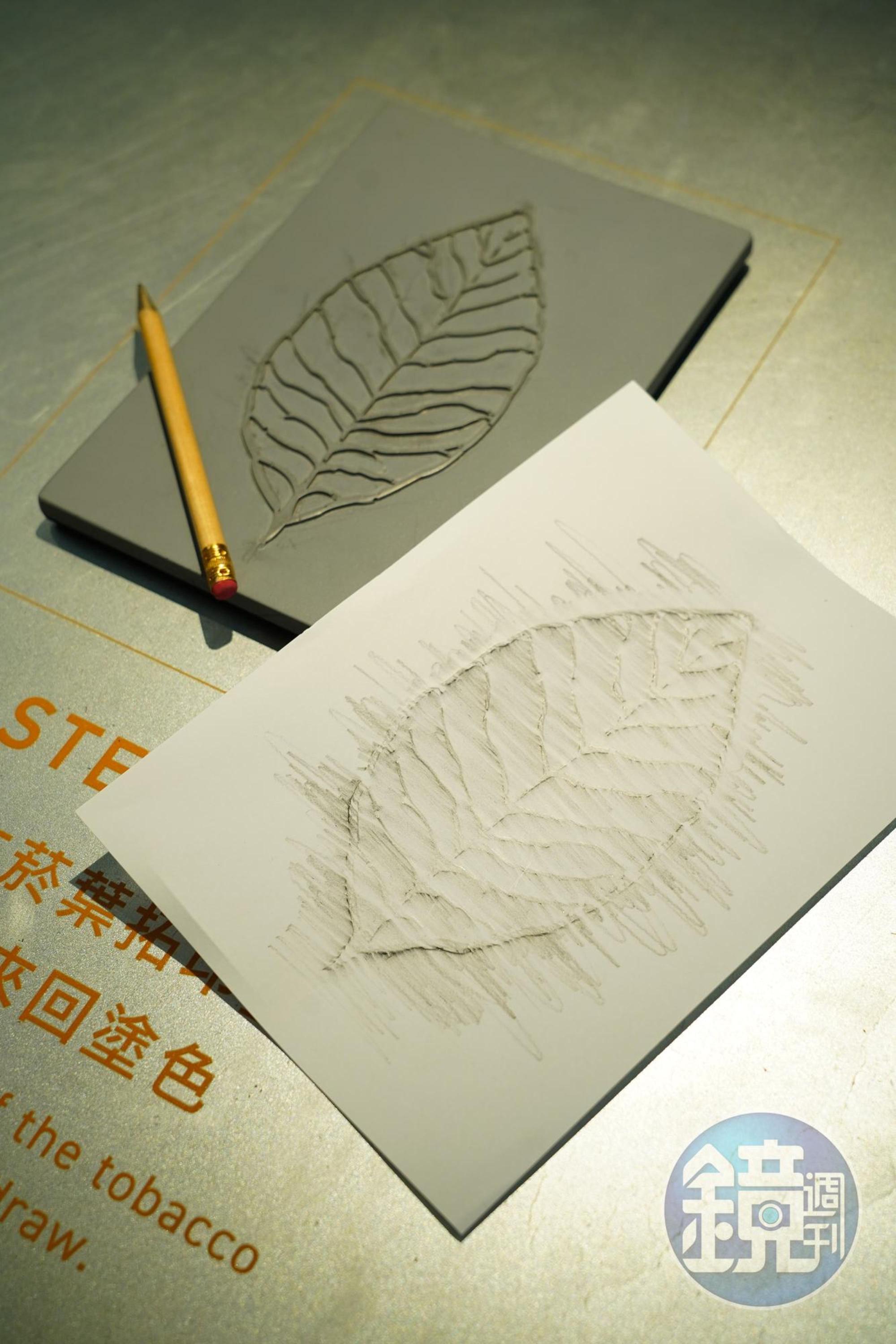 讓親子寓教於樂的菸草拓印畫。