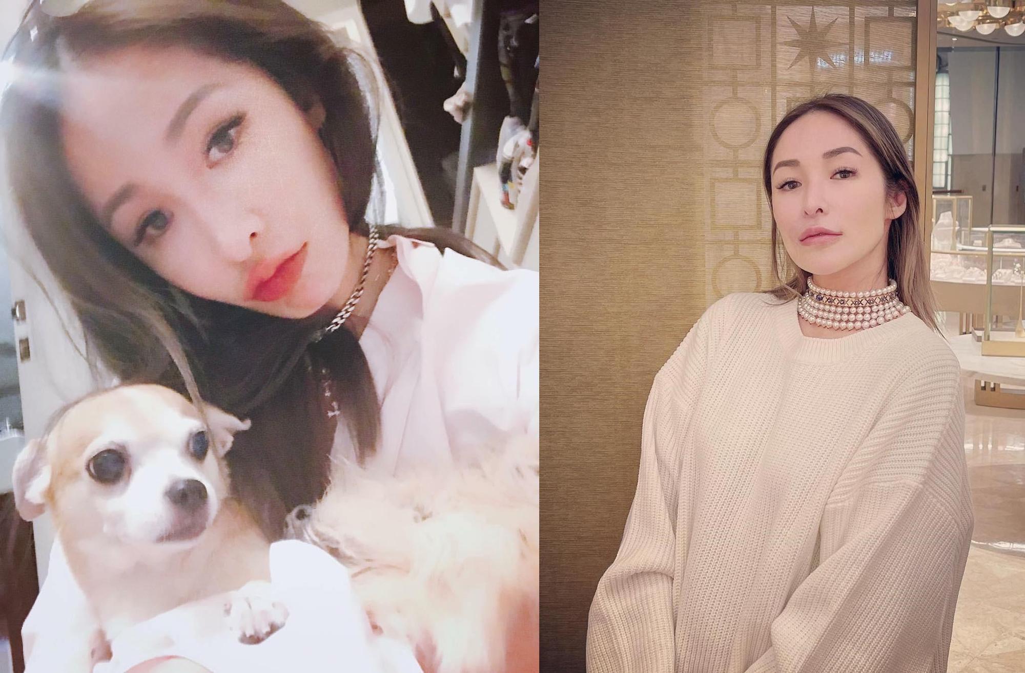 蕭亞軒悲痛表示,20的歲愛犬Gemi離開她去天堂陪伴母親了。(翻攝蕭亞軒臉書)