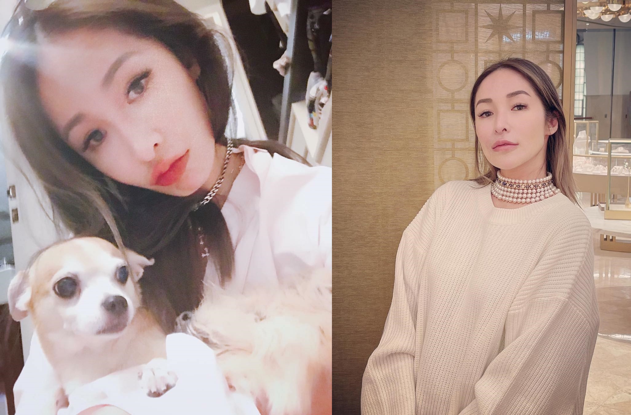 蕭亞軒悲痛表示，20的歲愛犬Gemi離開她去天堂陪伴母親了。（翻攝蕭亞軒臉書）